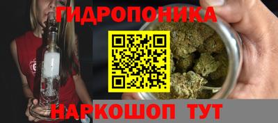 ГАЛЛЮЦИНОГЕННЫЕ ГРИБЫ Балахна