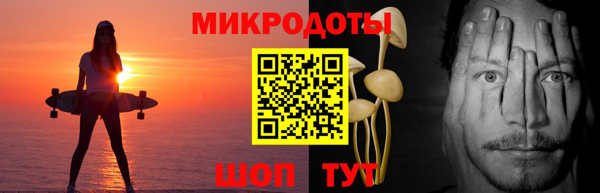Галлюциногенные грибы MAGIC MUSHROOMS  Псилоцибиновые грибы Psilocybine cubensis  что такое   Гагарин  Вход с VPN 